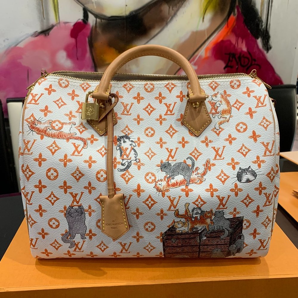 ❌EXCLUSIVE Louis Vuitton Catogram Speedy White Bag - Picture 1 of 14